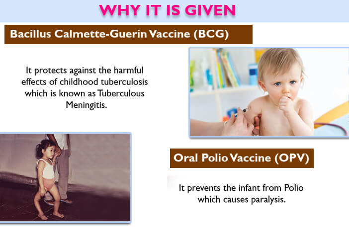 Newborn Baby Vaccination Chart