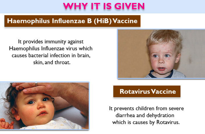Essential Vaccination Chart for Babies