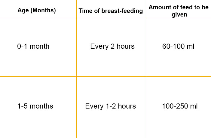 Diet Chart For 1 2 Year Baby