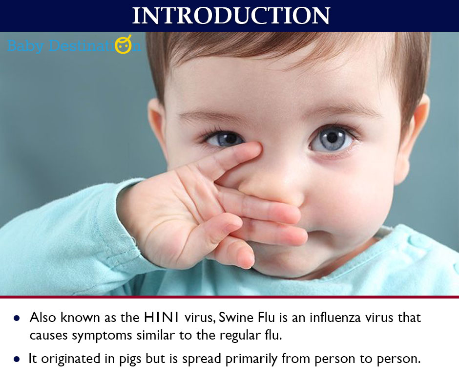 Swine Flu