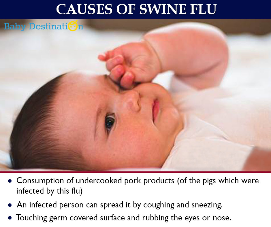 Swine Flu