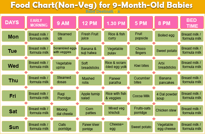 9th month baby food chart