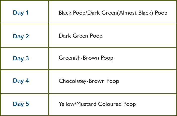 why baby has dark green poop