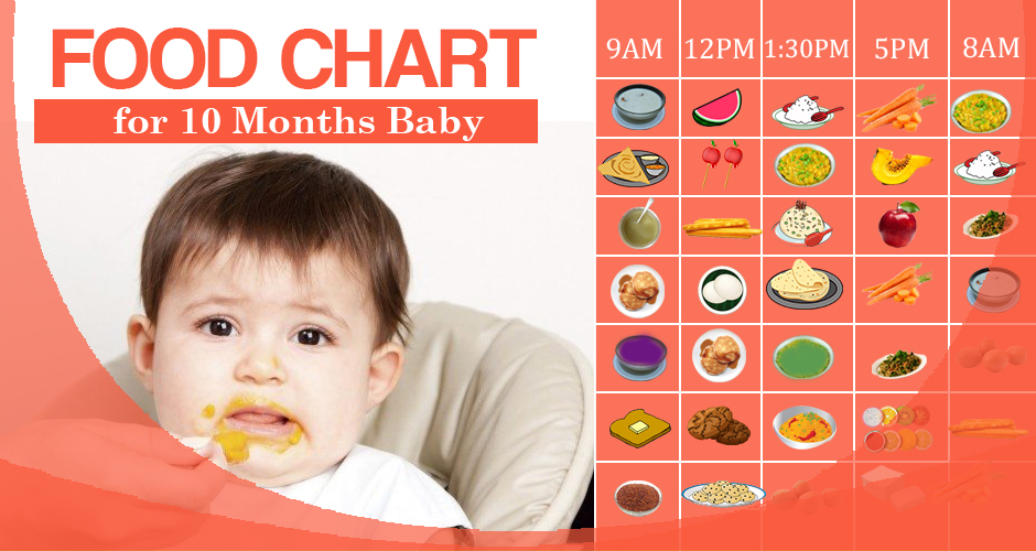 9 to 10 month baby food chart