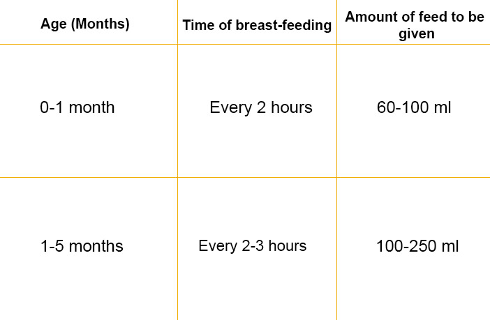 Food Chart for 6 months baby