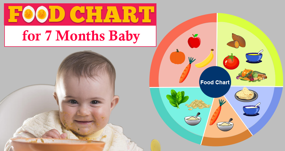 7th month baby food