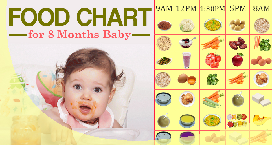 8 month old baby food chart indian