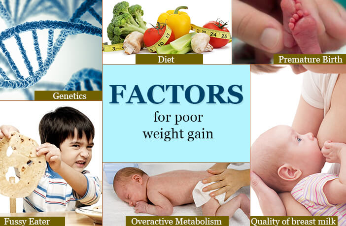 healthy recipes for weight loss and muscle gain babies