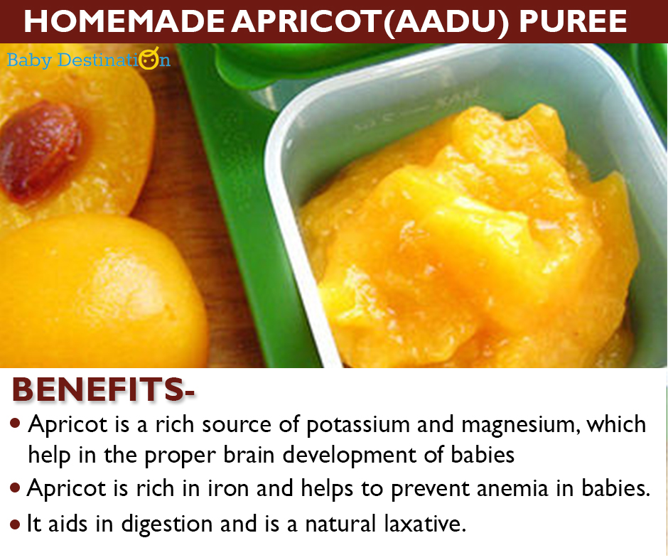 Homemade Fruit Purees For Babies