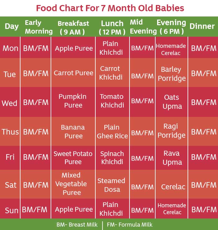 Food Chart for 7 Months Baby with Recipe and Timetable with Pics