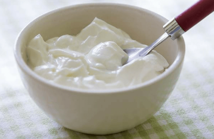 yogurt source today