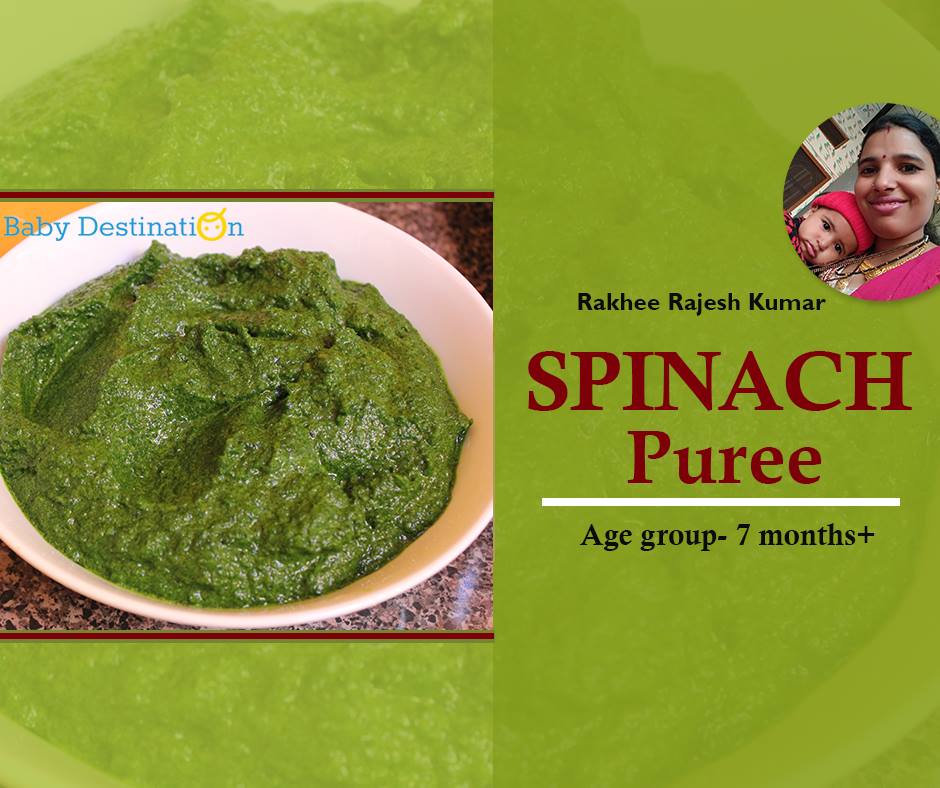 Spinach Puree