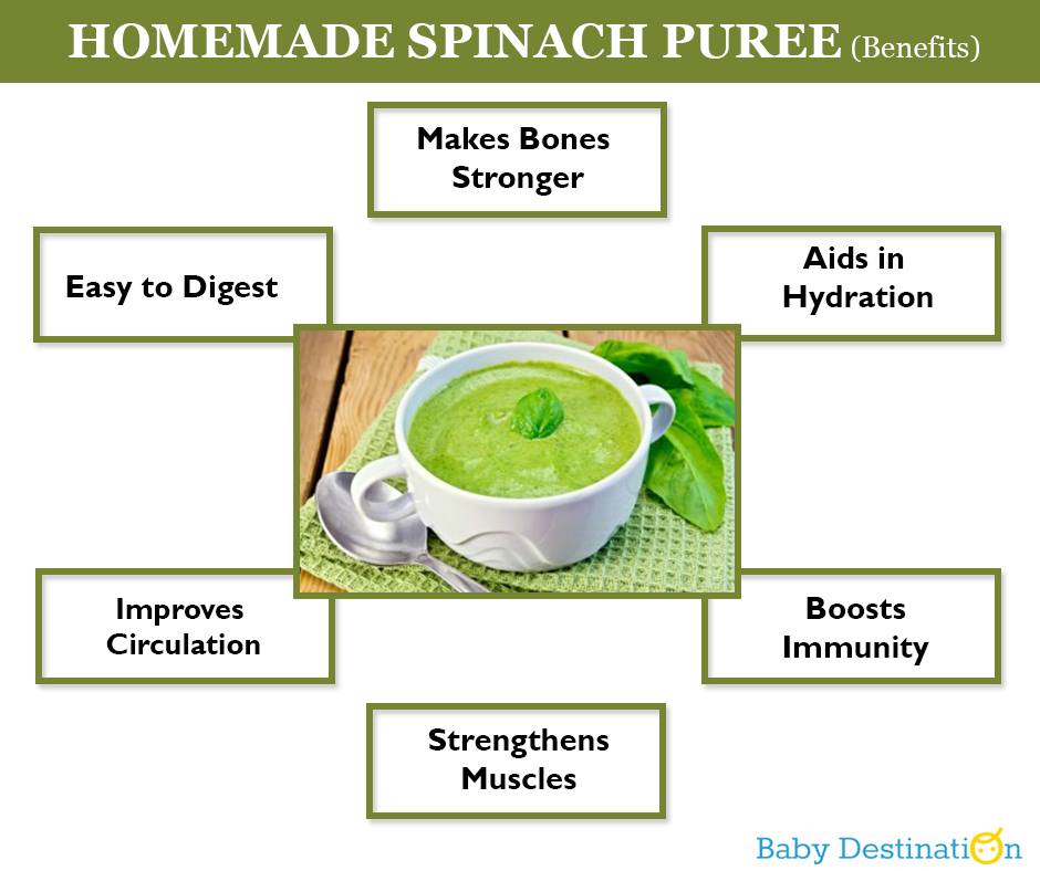 Spinach Puree