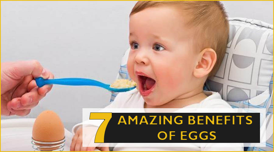 7 Benefits of Including Eggs In Your Baby's Diet