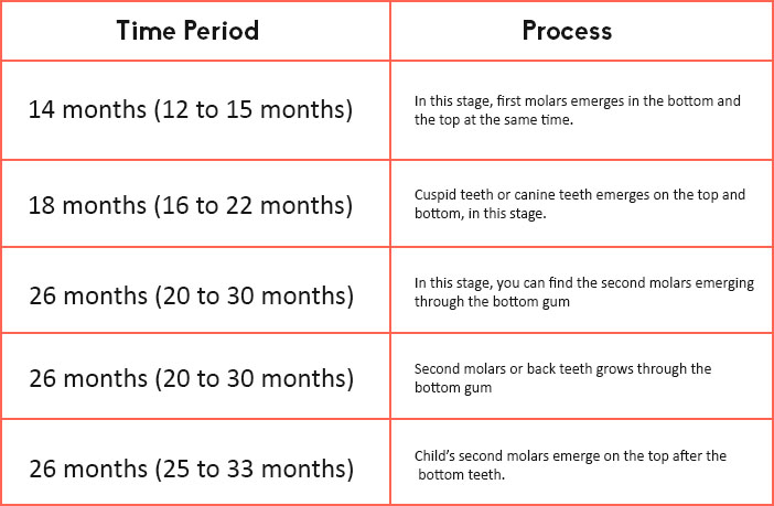 Toddler Teething Timeline: A complete guide