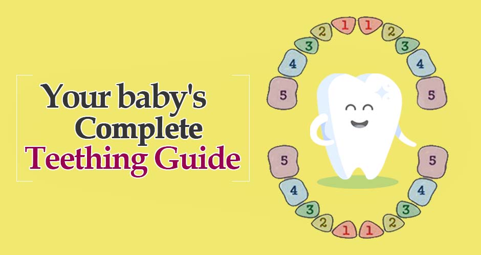 Baby Teething Timeline: A Complete Guide