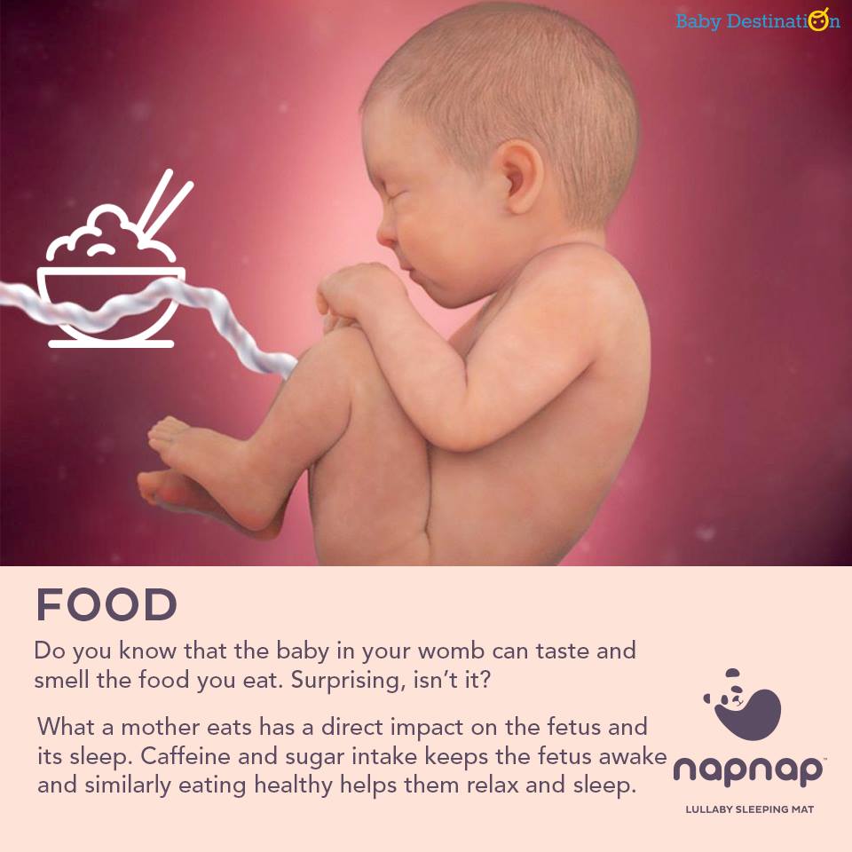 how-do-babies-eat-food-in-the-womb-baby-viewer