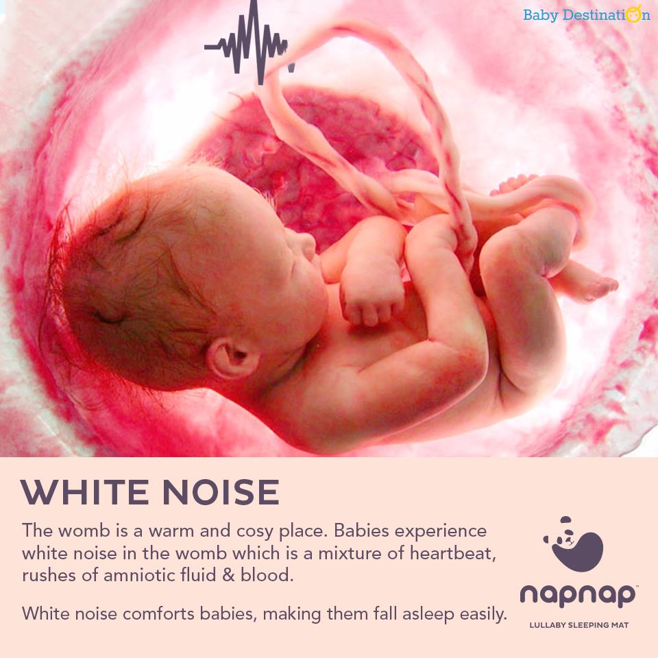 How Do Babies Sleep in the womb
