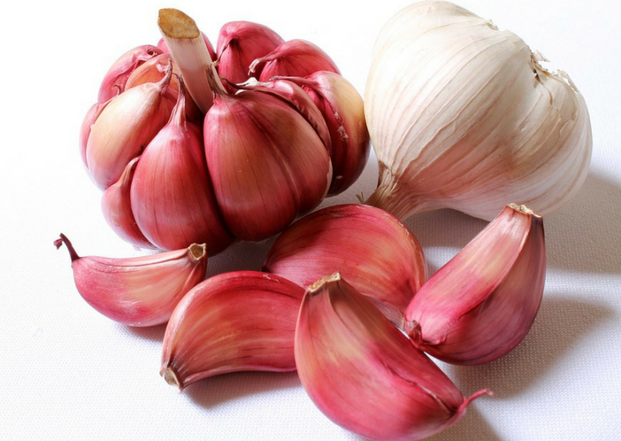 garlic for babies