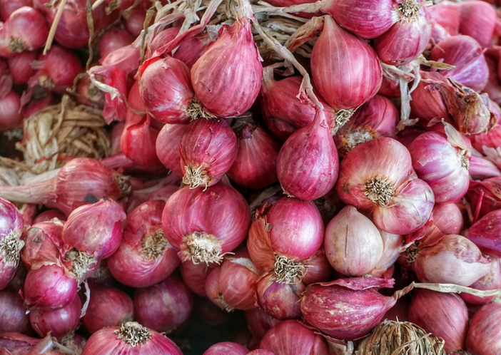small onions to prevent diabetes