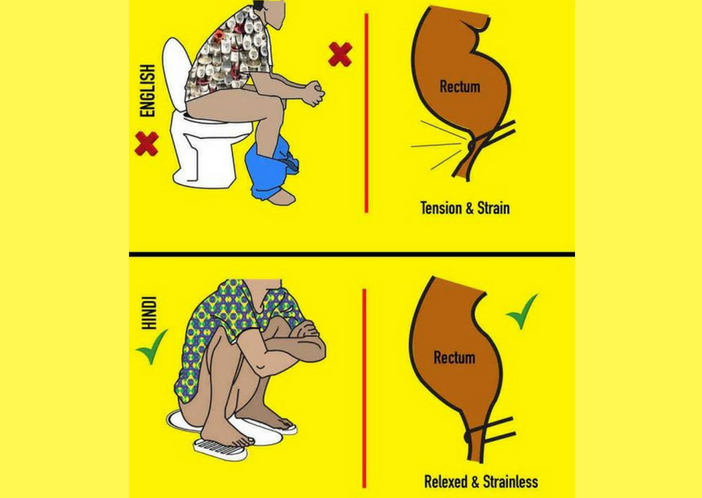 comparison of western and indian toilet
