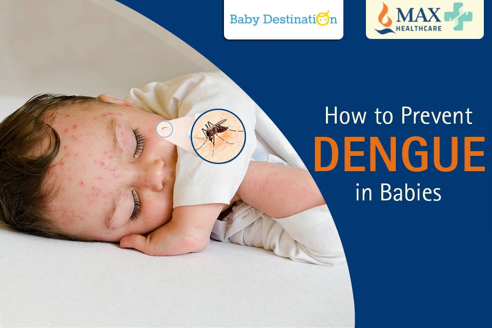 How To Prevent Dengue