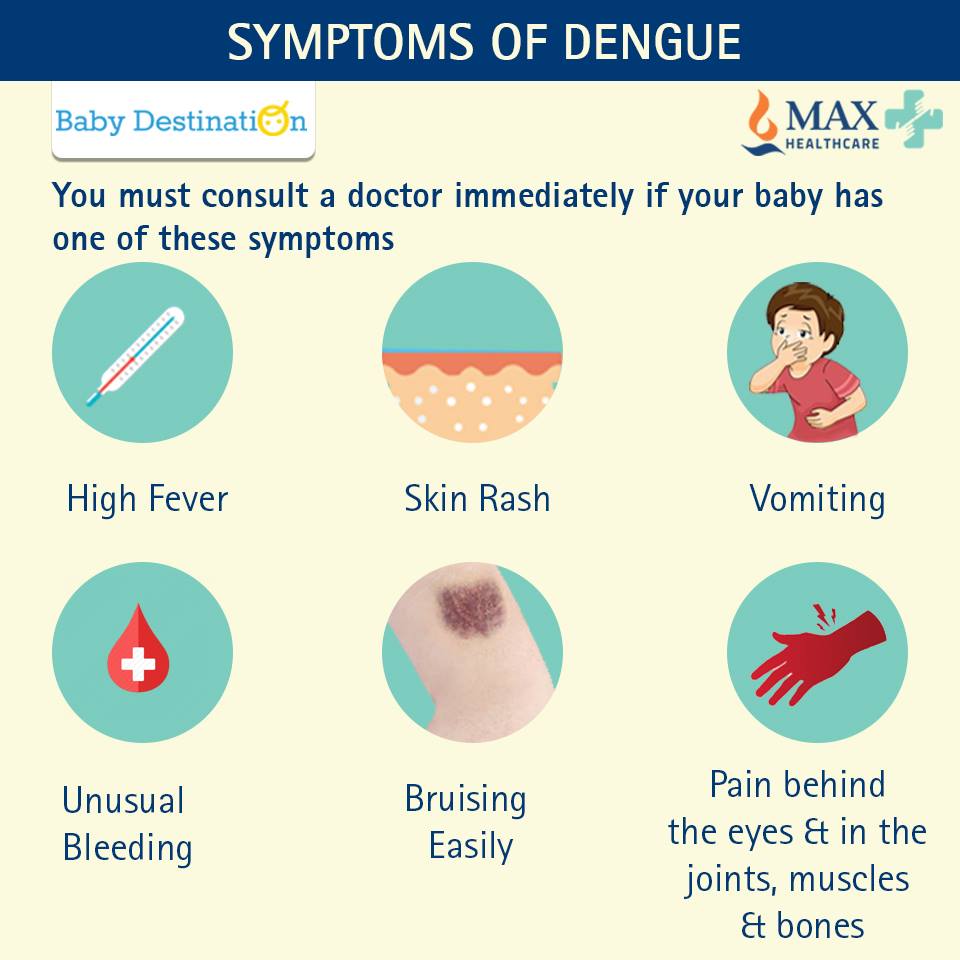 How To Prevent Dengue