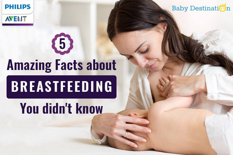 5 amazing facts about breastfeeding you didn't know about breastfeeding