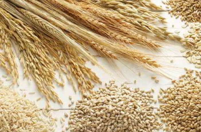 गर्भावस्था के समय 10 मुख्य आहार जो आपको खाने चाहिए