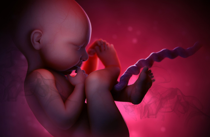 how-pollution-affects-unborn-babies