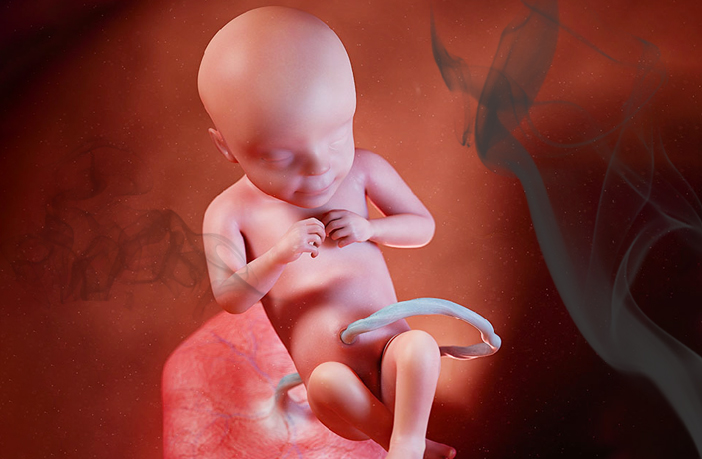 how-pollution-affects-unborn-babies