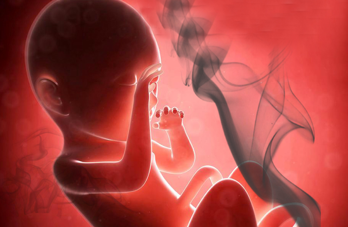 how-pollution-affects-unborn-babies