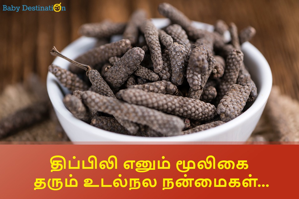 திப்பிலி தரும் பலன்கள்... குழந்தைகள் முதல் பெரியவர்கள் வரை Long