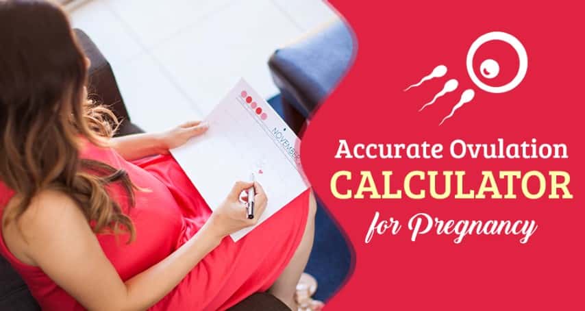 The Best And The Most Accurate Ovulation Calculator For Pregnancy