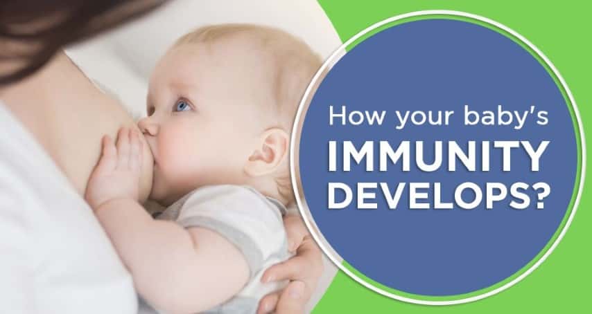 How your baby's immunity develops?
