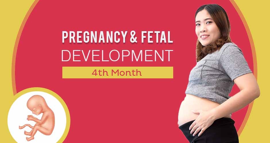 Fourth Month Pregnancy : Care, Diet, Symptoms & Foetus Changes