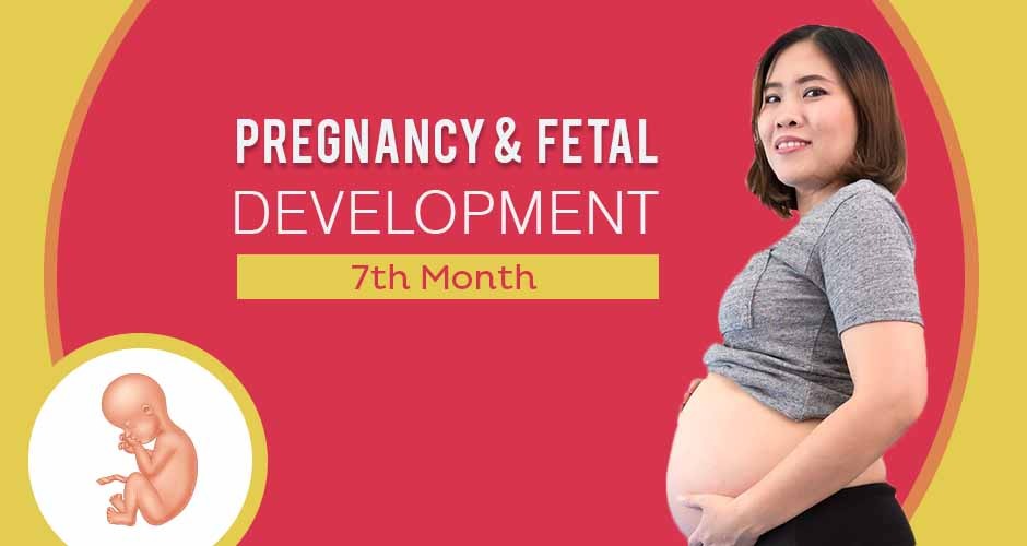 Seventh Month Of Pregnancy : Care, Diet, Symptoms & Fetal Development
