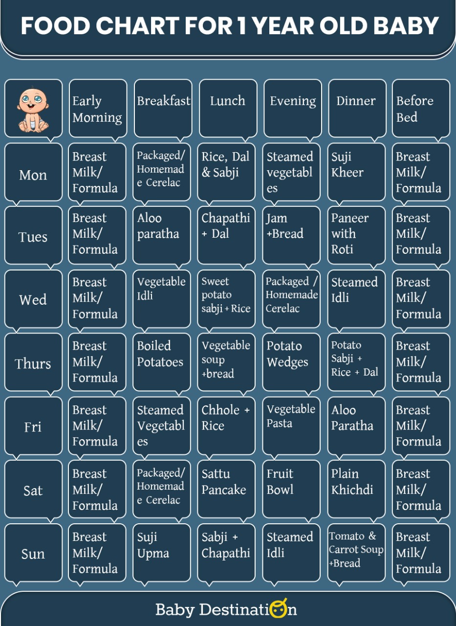 1 Year Baby Food Chart