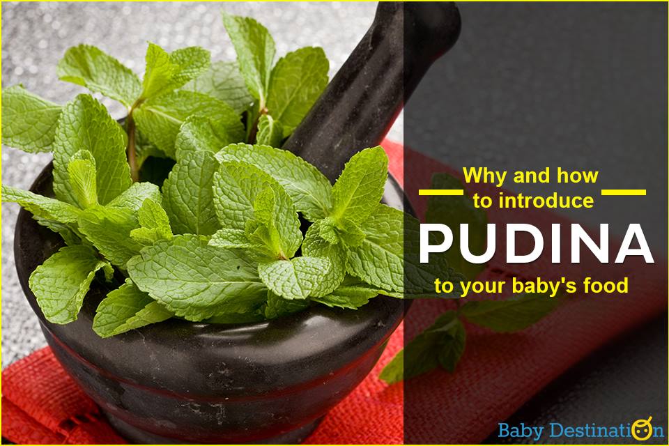 When And How To Introduce Pudina To Your Baby's Food