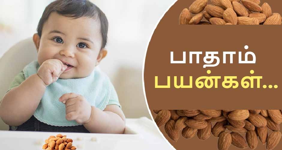 பாதாம் பயன்கள்: குழந்தை முதல் பெரியவர்கள் வரை!