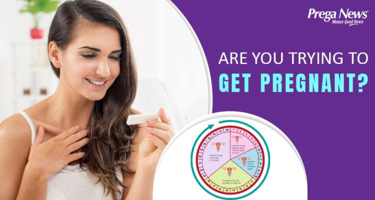 Trying To Get Pregnant? Learn How To Track Your Ovulation!